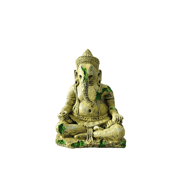 Hugo Ganesha