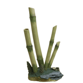 Bamboo - Large