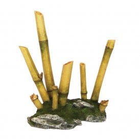 Bamboo Medium