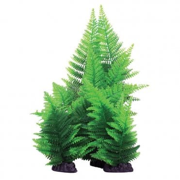Broad Leaf Fern Green 13cm-40cm