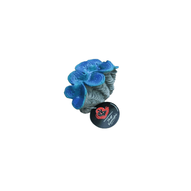 Hugo Kamishi Clam Medium