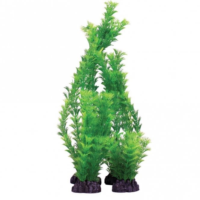 Hugo Kamishi Hornwort Green 13cm-40cm