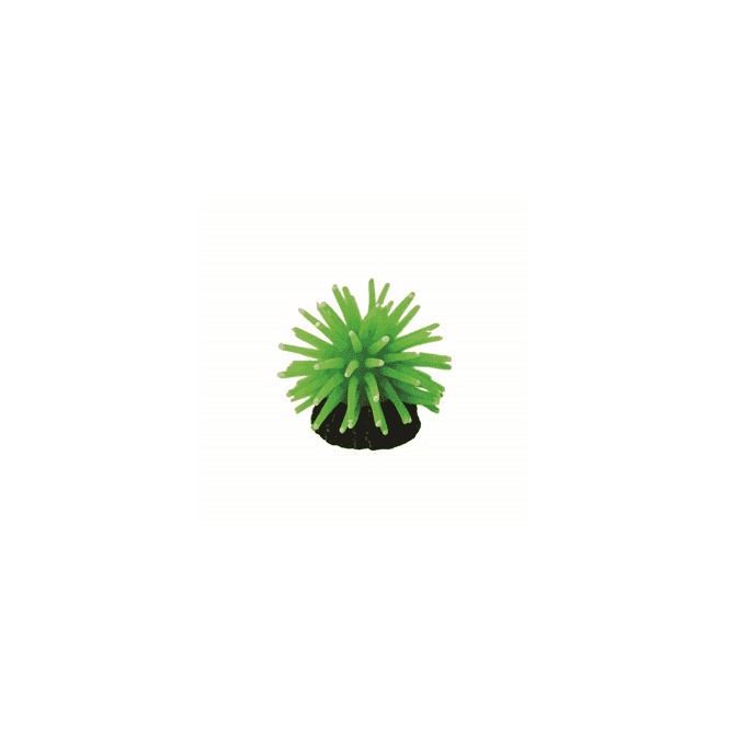 Hugo Kamishi Hugo Anenome Green 5X5x3