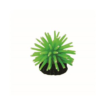 Hugo Anenome Green 5X5x3