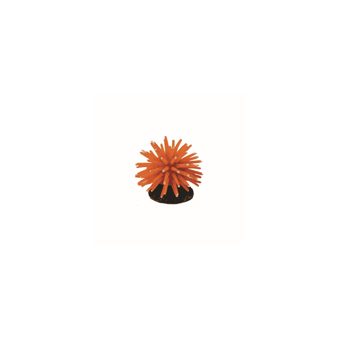 Hugo Kamishi Hugo Anenome Orange 5X5x3