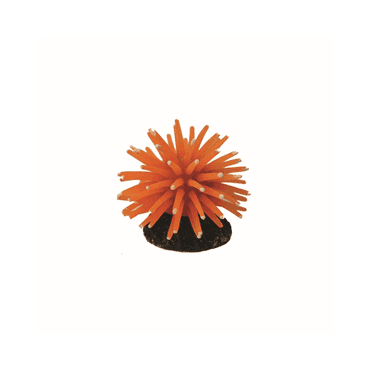 Hugo Anenome Orange 5X5x3