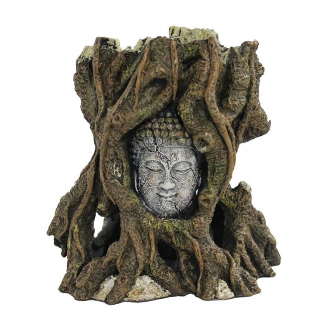 Hugo Kamishi Hugo Buddha Head