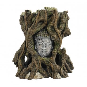 Hugo Buddha Head
