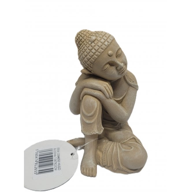 Hugo Kamishi Hugo Buddha