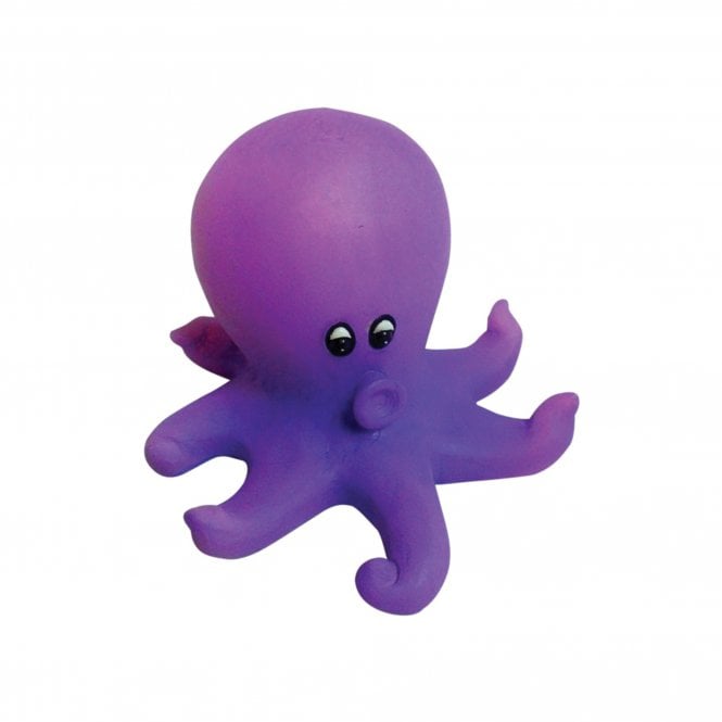 Hugo Kamishi Hugo Olly The Octopus