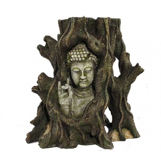 Hugo Kamishi Hugo Tree Buddha 