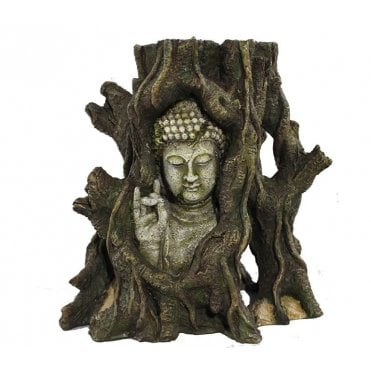 Hugo Tree Buddha 