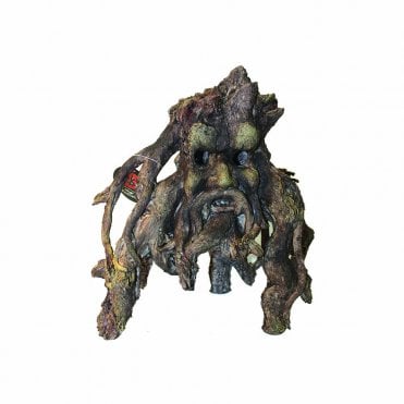 Hugo Tree Face