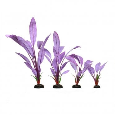 Leafy Silk Plant 13cm-40cm