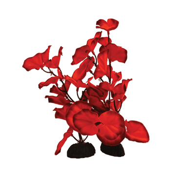 Lily Red Silk Plant 13cm-50cm