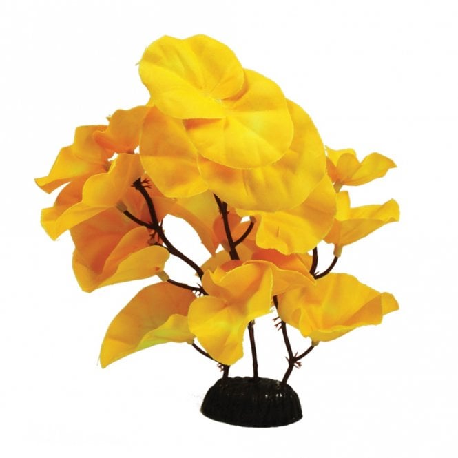 Hugo Kamishi Lily Yellow Silk Plant 13cm-50cm