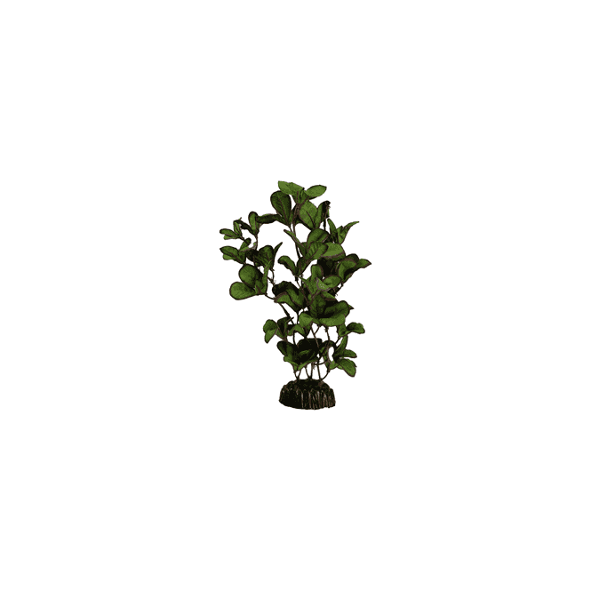 Hugo Kamishi Ludwigia Green Silk Plant 13cm-50cm