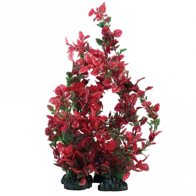 Hugo Kamishi Rose Leaf Green/Red 13cm-40cm