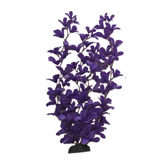 Hugo Kamishi Rotala Purple Silk Plant 13cm-40cm