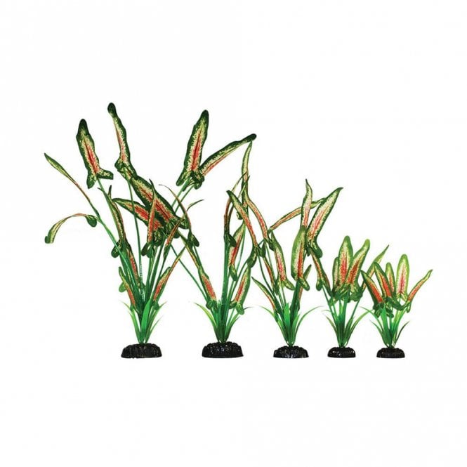 Hugo Kamishi Saggitaria Green/Red Silk Plant 13cm-40cm