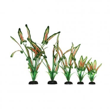 Saggitaria Green/Red Silk Plant 13cm-40cm