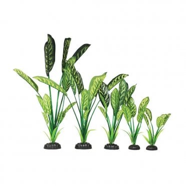 Saggitaria Green/Yellow Silk Plant 13cm-50cm