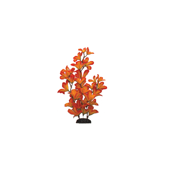 Hugo Kamishi Sunset Macranda Silk Plant 13cm-50cm