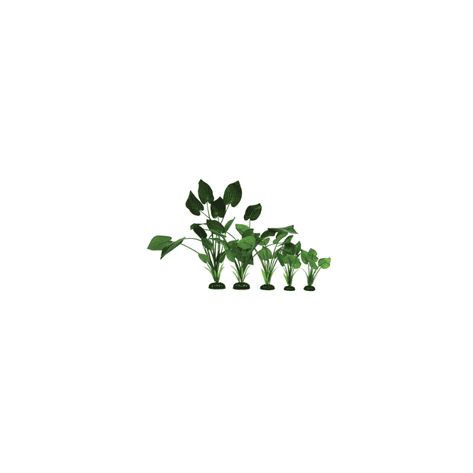 Hugo Kamishi Syngonium Green Silk Plant 13cm-50cm