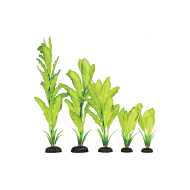 Yellow/Green Silk Plant 13cm-50cm
