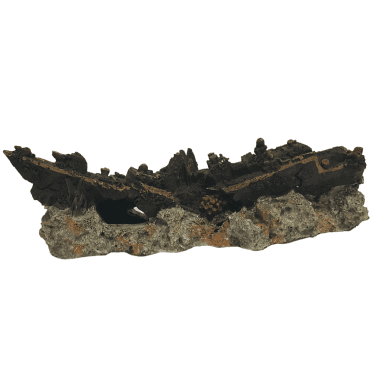 Hugo Ship On Rock