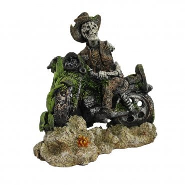 Hugo Skeleton on Bike