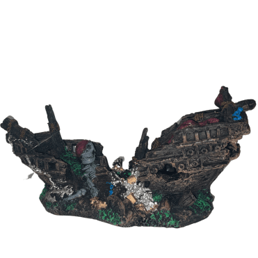 Hugo Skeleton Ship