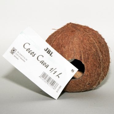 Cocos Cava 1/1L