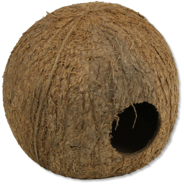 Cocos Cava 3/4L