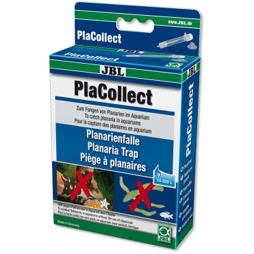 PlaCollect Planaria Flatworm Trap