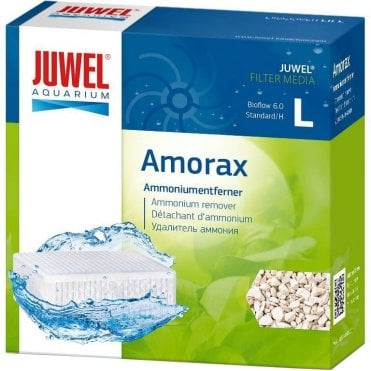 Amorax Large (Standard)