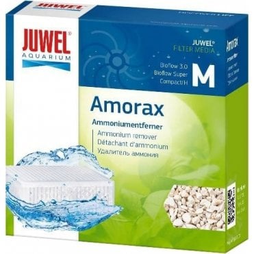 Amorax Medium (Compact)