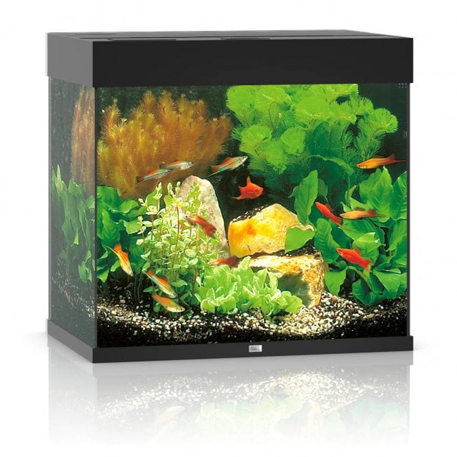 Juwel  Lido 120L LED - Aquarium Only - Black