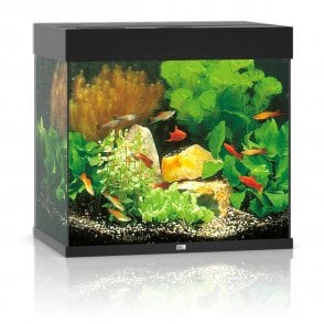 Juwel Lido 120L LED - Aquarium Only - Black