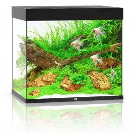 Juwel Lido 200L LED - Aquarium Only - Black