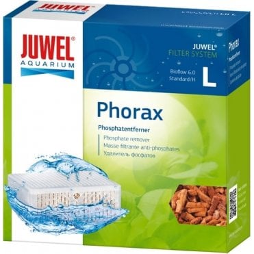 Phorax Large