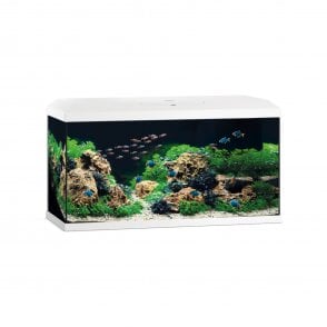 Juwel Primo 110 LED 2.0 - Aquarium Only - White
