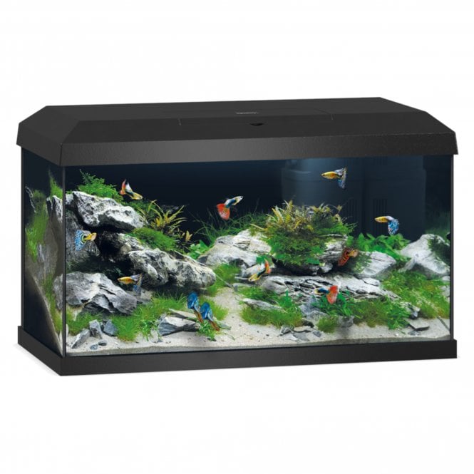 Juwel  Primo 2.0 60 - Aquarium Only