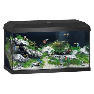 Juwel Primo 2.0 60 - Aquarium Only