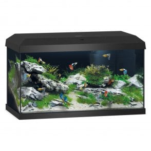 Juwel Primo 2.0 60 - Aquarium Only - Black
