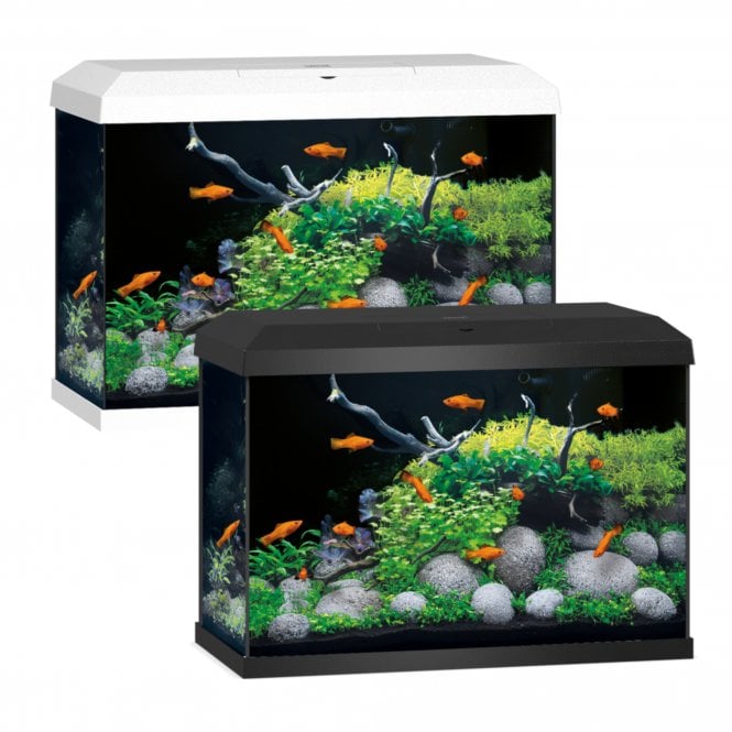 Juwel Primo 70 2.0 - Aquarium Only