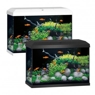 Primo 70 2.0 - Aquarium Only