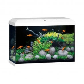 Juwel Primo 70 2.0 - Aquarium Only - White