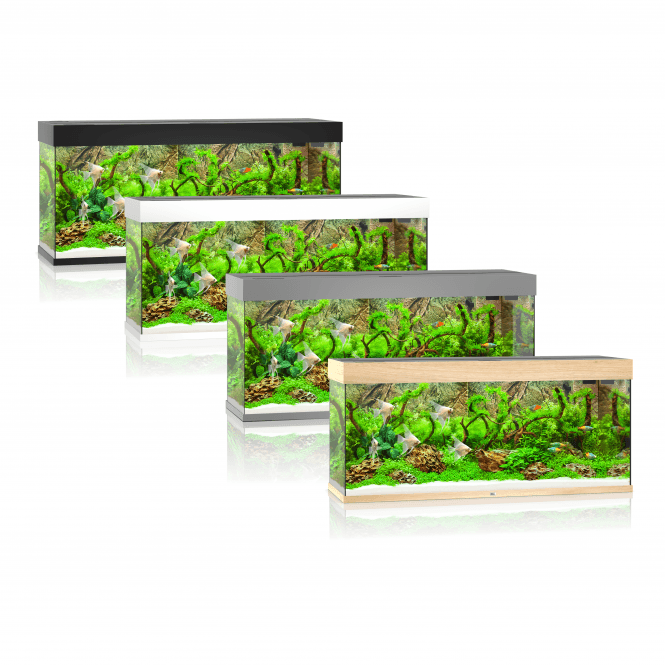 Juwel Rio 240 - Aquarium Only