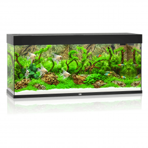 Juwel Rio 240 - Aquarium Only - Black